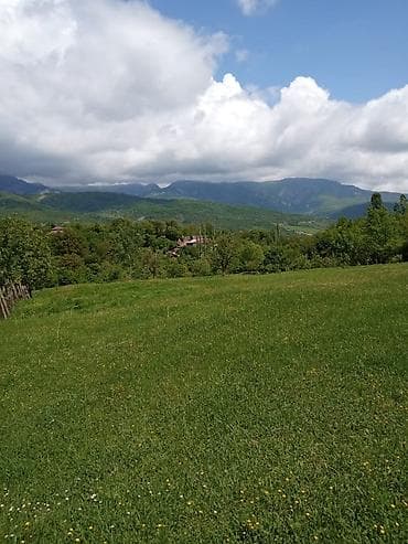 obyekt satilir: 60 sot, Kənd təsərrüfatı, Mülkiyyətçi, Kupça (Çıxarış) — 3