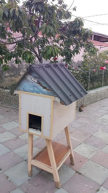 Yuvalar: Məhsul: Açıq havada istifadə üçün pişik evi Təsvir: Qapalı pişik evi — 5