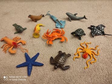 pop it qiyməti: Babylandan 18 azn alinib.Her biri yaxwi veziyyetdedir.Hamisi birlikde — 2