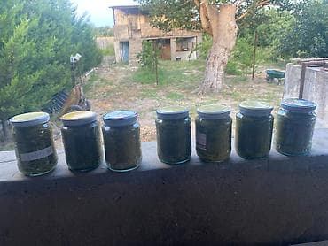Ev üsulu duzlu üzüm yarpağı – bankalarda, balonda, Bakı şanısı - lalafo.az -da Ev üsulu duzlu üzüm yarpağı – bankalarda, balonda, Bakı şanısı -