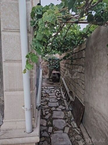 xankendide kiraye evler: Məzmunlu, işıqlı və səliqəli mənzil. Taxta tavan və döşəmələr, zövqlü — 14