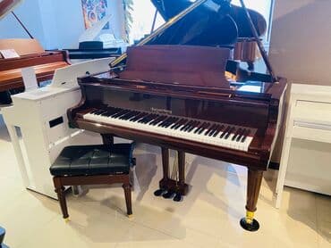 ed 10: Royal Musiqi Alətləri Mağazalar Şəbəkəsi sizə 12000 AZN-dən başlayaraq — 1