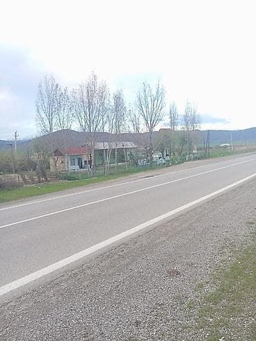 bilgeh bag evi: Biznes üçün, Mülkiyyətçi, Kupça (Çıxarış) — 6