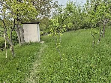6 sot, Kənd təsərrüfatı, Mülkiyyətçi, Kupça (Çıxarış)