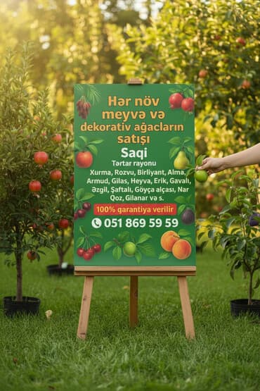 qapılar və qiymətləri: Meyvə və dekorativ ağac tingləri Təsvir: - Tərtər rayonu ərazisində — 1