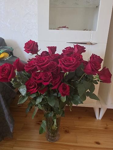 sakura gülü: Qırmızı qızılgül buketi 70 eded roza - Çoxlu sayda, iri ləçəkli, tünd — 2