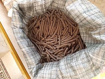 Heyvan yemi – taxıl əsaslı peletlər Semiçqa şirotu - Forma: silindrik