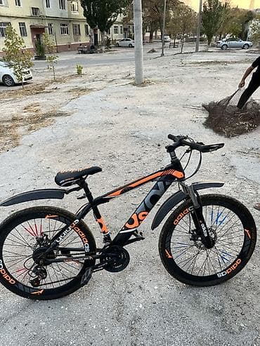 format velosiped: Dağ/şəhər tipli velosiped Arxa teker partlagdı. - Çərçivə: yüngül — 3