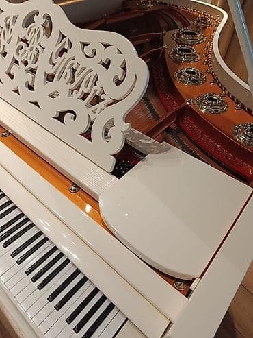 Barabanlar: Royal, Akustik — 6