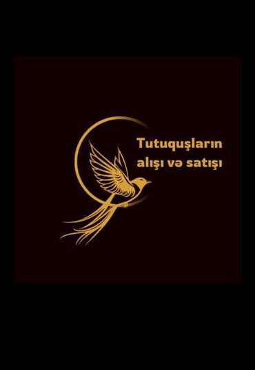 erkek papuqay adlari sa u ved 2ahukewimjzh3rkt8ahvxx4skhd8vaxyqfnoecaeqag usg aovvaw2hil44a28cmjmwibtj3at4: Salam dostlar.Yeni yaratdlqlmlz Dekorativ quslarln alqsl satqlsl — 1