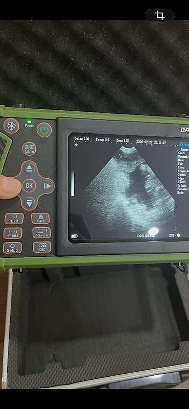 inek sagan aparat: Kiçik baş heyvanların (qoyun, keçi) boğazlığını yoxlamaq üçün istifadə — 5