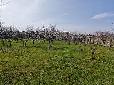 bakı tekstil fabriki: Qiymətdə endirim olundu. Abşeron rayonu, yeni saray qəsəbəsində — 3