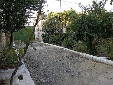topaq: 6 sot, Biznes üçün, Mülkiyyətçi, Kupça (Çıxarış) — 6