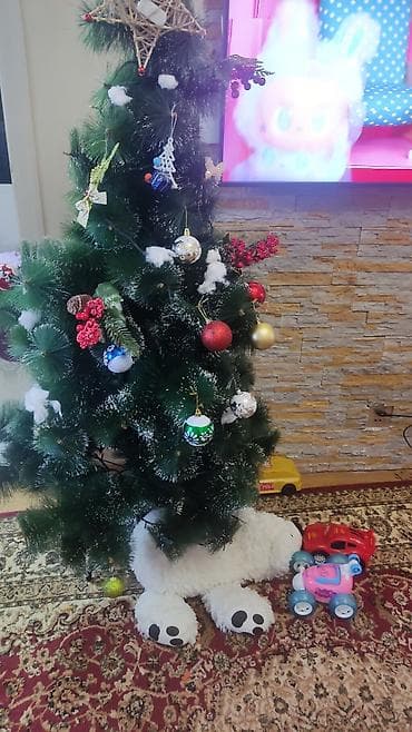 Xonçalar: Sam agaci eyla veziyetde 50 nanat hundurluyu 160 — 1