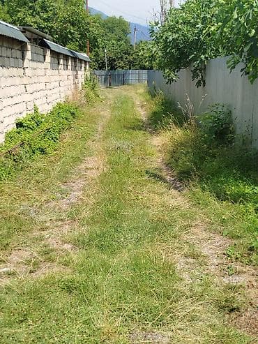 12 sot, Tikinti, Mülkiyyətçi, Kupça (Çıxarış) — 9