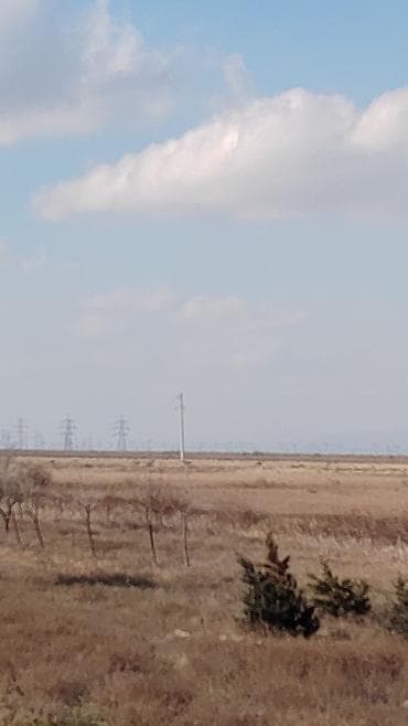 fatmayıda torpaq: Biznes üçün — 6