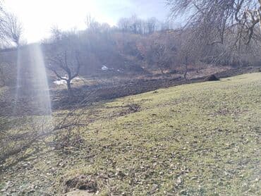 kirayə evlər gəncə 2023: 64 sot, Tikinti, Mülkiyyətçi, Bələdiyyə — 8