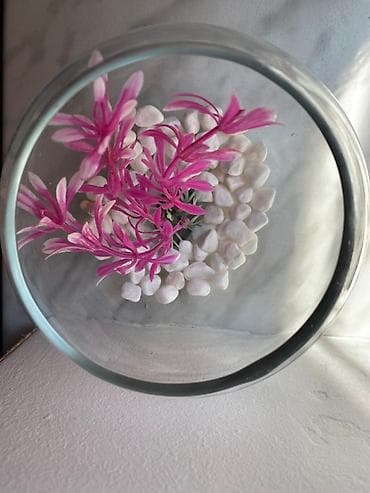 akvarium baliqlari satisi: Yumru akvarium, Boş, 1 l — 2