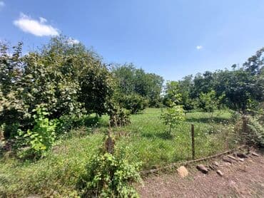 20 sot, Kənd təsərrüfatı, Kupça (Çıxarış)