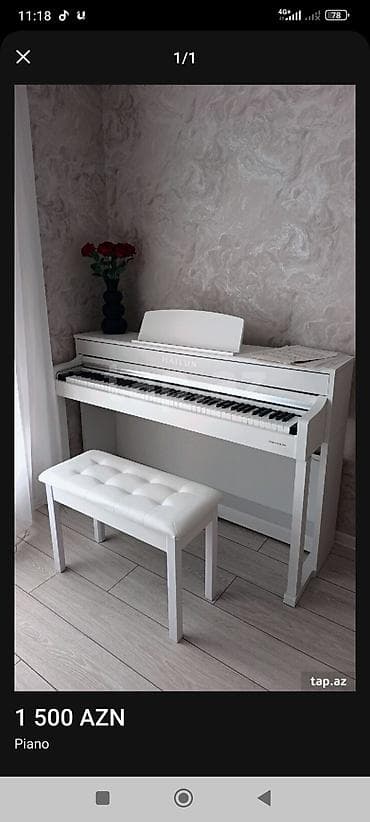 Piano, Hailun, Rəqəmsal, Yeni — 1