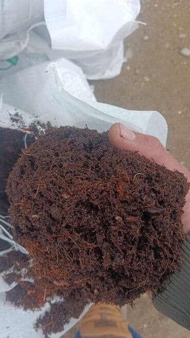 şitil: Torflar 250 litrlik rusiya usdehsali gullerin ekini şitillerin ekini — 2