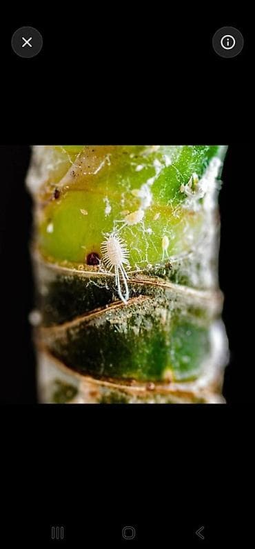 123 ekran televizyon: Samsung Galaxy S22 Ultra, Barmaq izi — 6