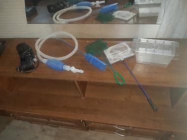 suda yaşayan heyvanlar: Dördbucaq akvarium, Boş, 20 l, Ünvandan götürmə — 2