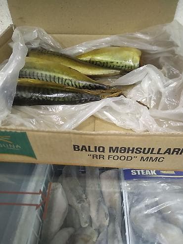 gence ev kiraye: 6️⃣2️⃣0️⃣0️⃣0️⃣ Aznə Satılır. 6️⃣0️⃣0️⃣ Azne icareye verilib. ☑️Zeng — 9