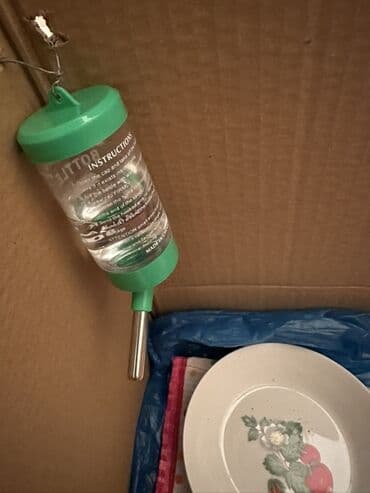 Gəmiricilər: Holland Lop dovşan satılır. Ev dovşanıdı. Ayaqyolu tərbiyəsi var. Qoxu — 7