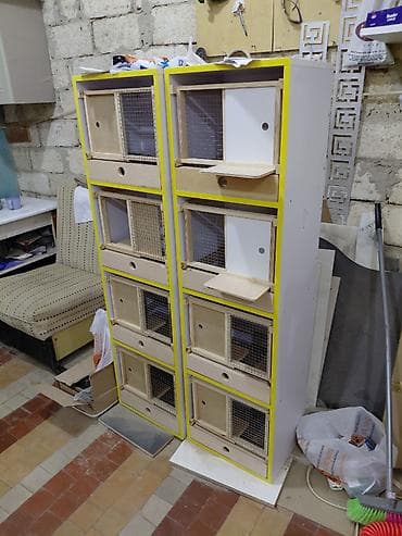 quş bazarı: Goyercin xanesi,rahatciliği goz qabagindadir,rahat temizliyib sokub — 3