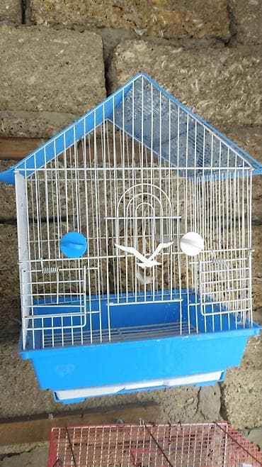 quş qefes: Biri 25-30 azn Quş qəfəsləri – müxtəlif model və ölçülər - Formalar — 6