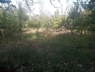 torpaq barter: 8 sot, Tikinti, Maklerlər narahat etməsin, Kupça (Çıxarış) — 2