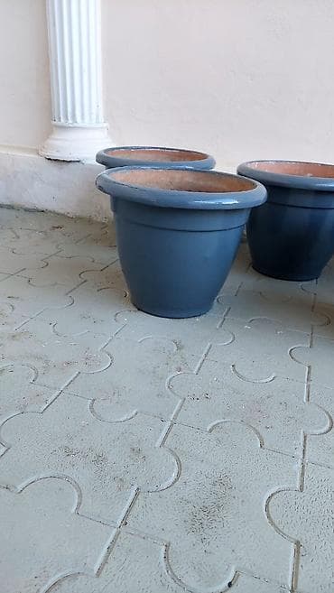 lladro baku: Dibçəklər. bir ədədi 15 manat. 8 ədəddir. Əla vəziyyətdədir — 4