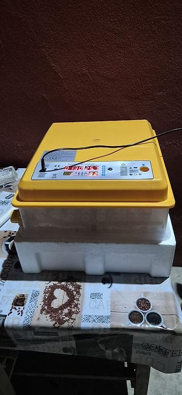 Inkubator tam aftomat 120 yumurtaliq demek olarki islenmeyib iki defe — 6