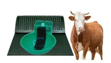 qoyun qirxan masinka: Heyvan yatakları. Heyvan döşəyləri Heyvan yataqları. Türkiyə — 4