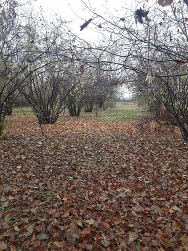 Moskviç: 5 otaqlı, 150 kv. m, Kredit yoxdur, Orta təmir — 8