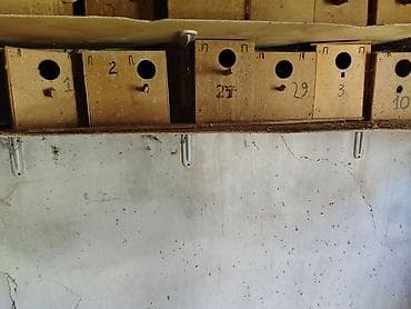 balaca it ucuz: Taxta quş yuvaları (dovğa/taxta qutular) - Material: sıx — 2