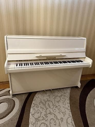 Elektrik nəqliyyatı: Piano, Zimmermann, Akustik — 2