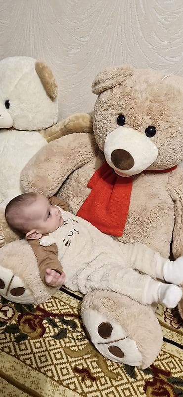 Клининговые услуги: Игрушки — 1