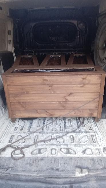 kala bitkisi: İsdənilən ölçüdə yiqmaq mumkundur bitki ilə birgə Satışı var — 2