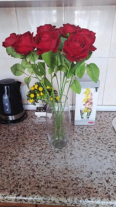 dracena gulu: Bir vaza — 2