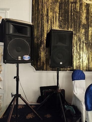 ucuz ps5: Peşəkar səsyazma və səhnə üçün tam akustik sistem 2 Yamaha kalomkada — 2