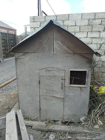 hind qusu: Taxta toyuq/heyvan daxması - Material: qalın faner taxta karkas — 2