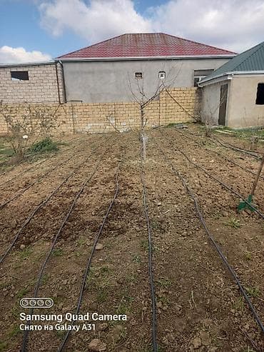 Mənzillər: Savalan 10 otaq, 250 kv. m, Kredit yoxdur, Orta təmir — 5