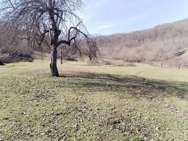 kirayə evlər gəncə 2023: 64 sot, Tikinti, Mülkiyyətçi, Bələdiyyə — 7