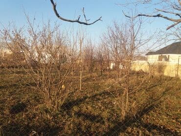 аренда и продажа недвижимости: 13 соток, Для сельского хозяйства, Собственник, Договор — 5