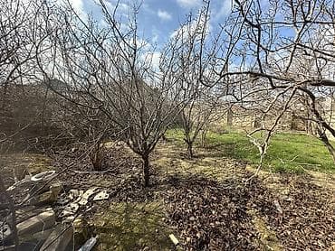 absheron: 3 sot, Tikinti, Maklerlər narahat etməsin, Kupça (Çıxarış) — 2