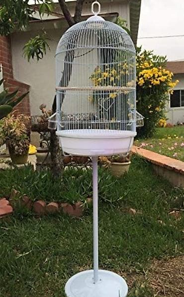 çardaq quşun yuvası: 🌟 Kiçik quşlar üçün mükəmməl qəfəslər artıq satışda! Yumurtlayan və — 9