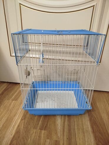 qəfəslər: Satılır çox az işlənib Mavi rəngli plastik altlığı və ağ metal toru — 4