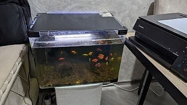 Akvaryum komplekti – şüşə akvarium, üst qapaq və LED işıqlandırma ilə